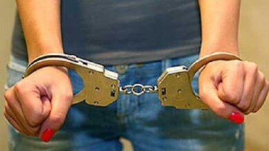 В Корабельном районе две девушки грабили своих сверстниц на улице | Корабелов.ИНФО