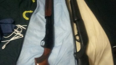 В Николаеве служебная собака обнаружила скрытый тайник с оружием на мальтийском судне | Корабелов.ИНФО image 2