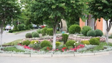 На благоустройство Николаева в 2017 году хотят выделить почти 270 млн.грн., из них на Корабельный район - всего 8,3 млн.грн. | Корабелов.ИНФО