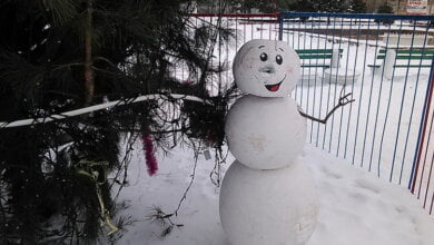 "И зачем это делать, и что детям показывать?" В Корабельном "обчистили" новогоднюю районную елку (ВИДЕО) | Корабелов.ИНФО image 2