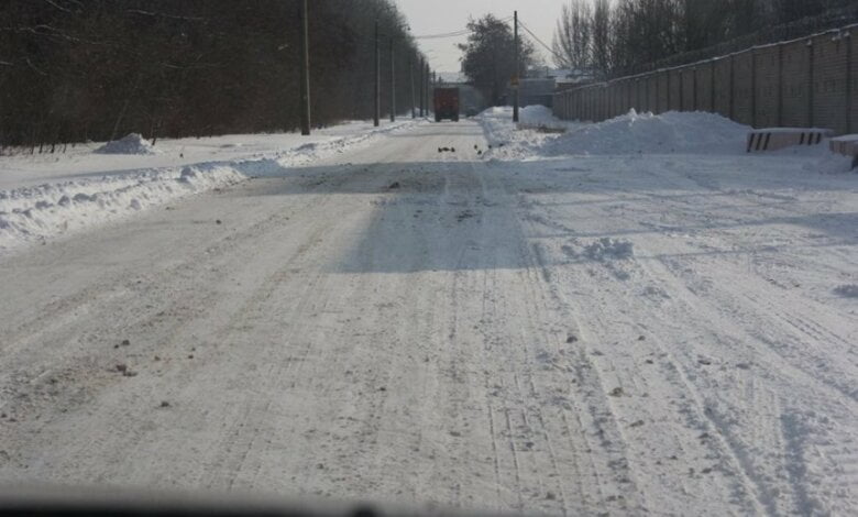 "Каша" на дорогах в Николаеве - это хорошо, она необходима", - уверяет “ЭЛУ автодорог” | Корабелов.ИНФО