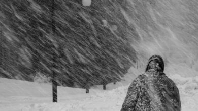 На Николаевщину вновь идут холода: снег, ветер и усиление мороза | Корабелов.ИНФО image 1