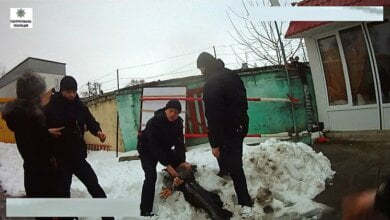 В Корабельном патрульные уложили в сугроб хулигана, пытавшегося выхватить у них табельное оружие | Корабелов.ИНФО image 2