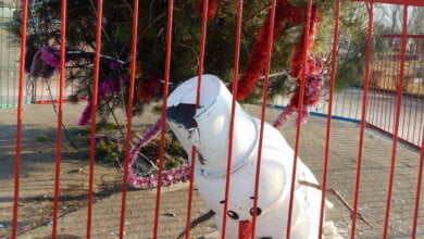 Серость, засилье "стихийщиков", сломанный снеговик... Один день из жизни Корабельного района (05.01.2017) | Корабелов.ИНФО image 2