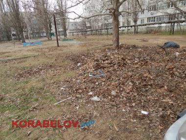 Серость, засилье "стихийщиков", сломанный снеговик... Один день из жизни Корабельного района (05.01.2017) | Корабелов.ИНФО image 8