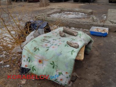 Серость, засилье "стихийщиков", сломанный снеговик... Один день из жизни Корабельного района (05.01.2017) | Корабелов.ИНФО image 10