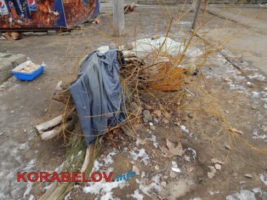 Серость, засилье "стихийщиков", сломанный снеговик... Один день из жизни Корабельного района (05.01.2017) | Корабелов.ИНФО image 14