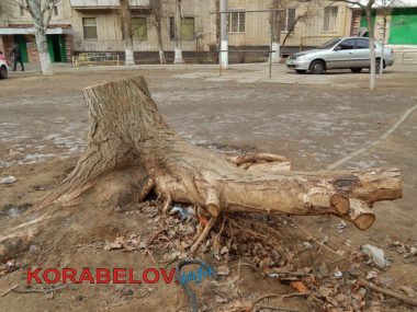 Серость, засилье "стихийщиков", сломанный снеговик... Один день из жизни Корабельного района (05.01.2017) | Корабелов.ИНФО image 17