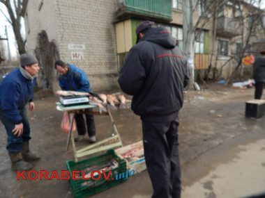 Серость, засилье "стихийщиков", сломанный снеговик... Один день из жизни Корабельного района (05.01.2017) | Корабелов.ИНФО image 28