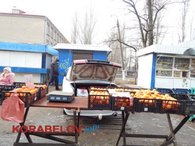 Серость, засилье "стихийщиков", сломанный снеговик... Один день из жизни Корабельного района (05.01.2017) | Корабелов.ИНФО image 29