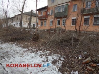 Серость, засилье "стихийщиков", сломанный снеговик... Один день из жизни Корабельного района (05.01.2017) | Корабелов.ИНФО image 31