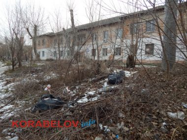 Серость, засилье "стихийщиков", сломанный снеговик... Один день из жизни Корабельного района (05.01.2017) | Корабелов.ИНФО image 32