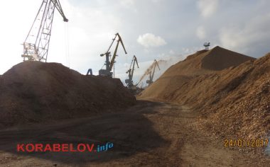 "Мы ломаем стереотипы". На ГП "СК "Ольвия" начался визит рабочей группы консультантов Проекта концессии (ВИДЕО) | Корабелов.ИНФО image 4