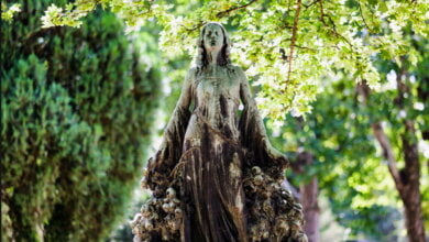 "Какой срок годности у Героев?" - нардеп Ильюк бросает николаевским властям и всем неравнодушным горожанам свой вызов | Корабелов.ИНФО image 1