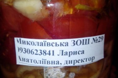 "Дама сдавала в блиндаж..." Николаевцы снова отправили помощь воинам в зону АТО (ВИДЕО) | Корабелов.ИНФО image 8