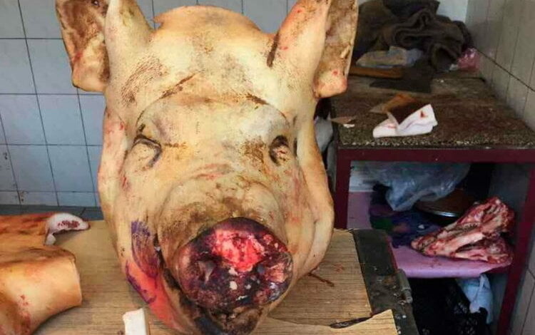 Спасти николаевцев от «монумента дюминской славы» призывает депутатов горсовета нардеп Артем Ильюк | Корабелов.ИНФО image 2