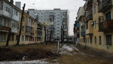 В Кульбакино изуродовали деревья по инициативе депутата Веселовской | Корабелов.ИНФО image 1