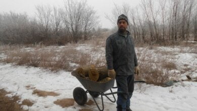 Неравнодушные жители задержали возле села Лиманы браконьера-лесоруба | Корабелов.ИНФО image 1