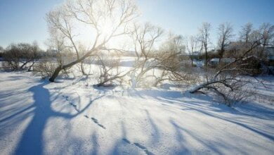 Завтра в Николаеве будет солнечная, морозная погода, - синоптики | Корабелов.ИНФО
