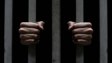 Трое убийц антиквара в Николаеве получили по 15 лет тюрьмы с конфискацией имущества | Корабелов.ИНФО