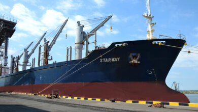 В январе «Ника-Тера» увеличила грузооборот почти в два раза | Корабелов.ИНФО