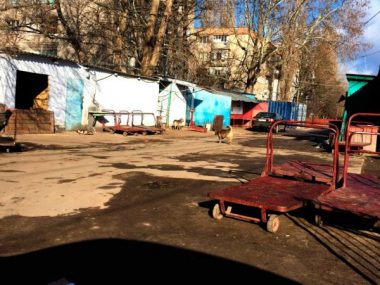 Спасти николаевцев от «монумента дюминской славы» призывает депутатов горсовета нардеп Артем Ильюк | Корабелов.ИНФО image 4