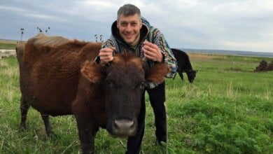 «Буду ходить и бить морды» – Ильюк устал, что мэрия «рубит» его инициативы, направленные на благо николаевцев | Корабелов.ИНФО