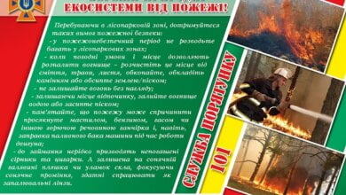 За добу рятувальники Миколаївщини ліквідували 9 пожеж на відкритій території | Корабелов.ИНФО
