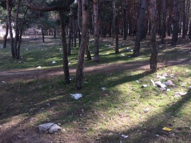 О мусорных "подснежниках" как символе весны в Корабельном районе - местный житель | Корабелов.ИНФО image 4