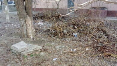 "Обидно": работники "Водолея" развели вокруг здания бассейна мусорную свалку | Корабелов.ИНФО image 4