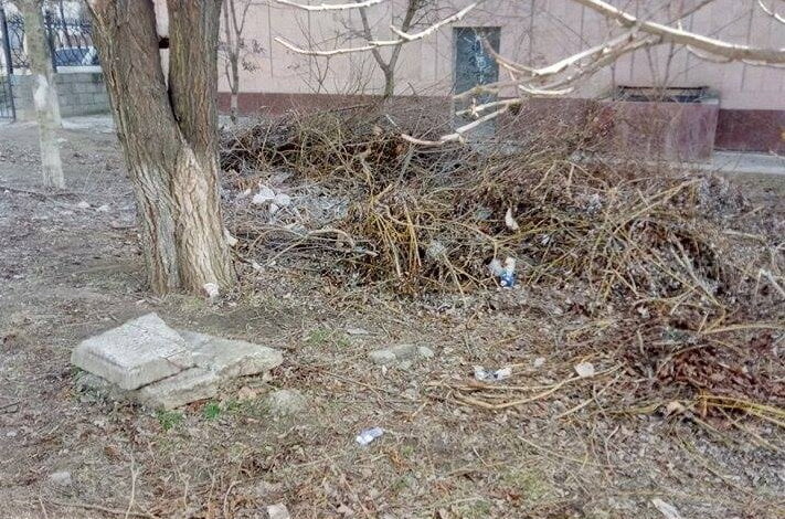 "Обидно": работники "Водолея" развели вокруг здания бассейна мусорную свалку | Корабелов.ИНФО image 4