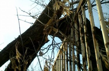 "Парковая зона ДК "Корабельный" подверглась очередной попытке захвата", - активисты | Корабелов.ИНФО image 5