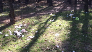 О мусорных "подснежниках" как символе весны в Корабельном районе - местный житель | Корабелов.ИНФО image 3