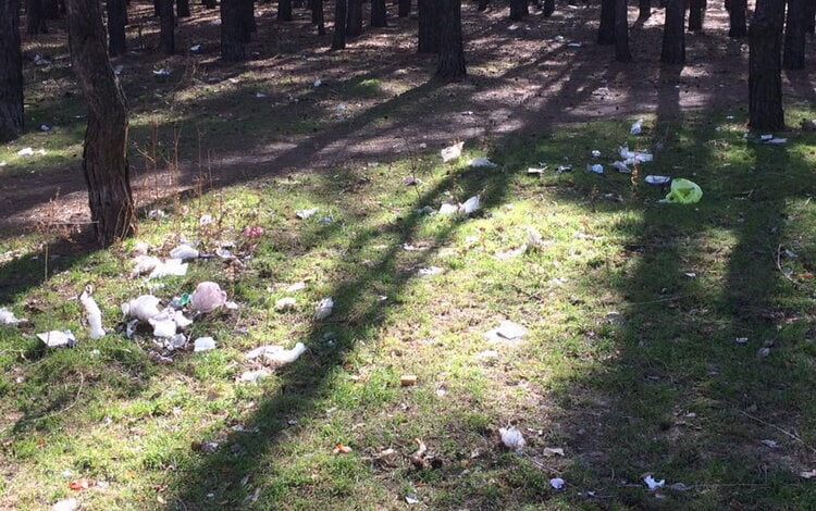 О мусорных "подснежниках" как символе весны в Корабельном районе - местный житель | Корабелов.ИНФО image 3