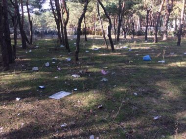 О мусорных "подснежниках" как символе весны в Корабельном районе - местный житель | Корабелов.ИНФО image 2