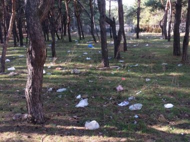 О мусорных "подснежниках" как символе весны в Корабельном районе - местный житель | Корабелов.ИНФО image 1