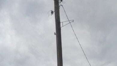 "Крошится по щепкам": одна из электроопор в Корабельном скоро "отметит" свое 70-летие. А таких столбов в районе предостаточно... | Корабелов.ИНФО image 1