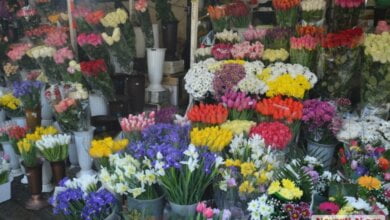 Цены на цветы в Николаеве взлетели «до небес»: женский праздник | Корабелов.ИНФО image 1