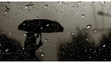 На выходных в Николаеве синоптики обещают дождливую и ветреную погоду | Корабелов.ИНФО