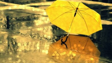 На этой неделе синоптики обещают в Николаеве теплую, но облачную погоду с дождями | Корабелов.ИНФО