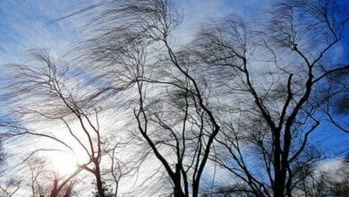 На вторник в Николаеве синоптики обещают до +19, но с сильным ветром. В следующие дни температура понизится | Корабелов.ИНФО