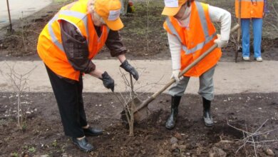 Адміністрація Корабельного району запрошує безробітних до громадської праці: в бюджеті на її оплату передбачено більше 350 тис. грн | Корабелов.ИНФО