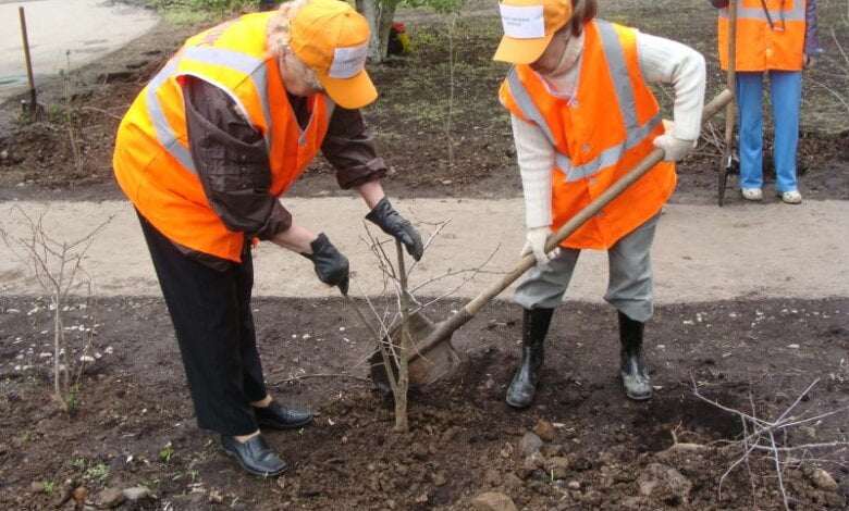 Адміністрація Корабельного району запрошує безробітних до громадської праці: в бюджеті на її оплату передбачено більше 350 тис. грн | Корабелов.ИНФО