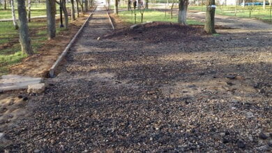 "Держит... нас за идиотов?", - житель Корабельного возмущен затянувшимся ремонтом дорожки в сквере "Белая акация" | Корабелов.ИНФО