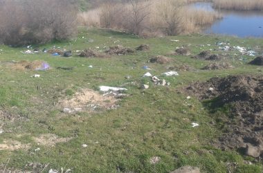 "Жить на свалке не хотелось бы», - жители Корабельного о множестве куч прошлогодней листвы и другого мусора по району | Корабелов.ИНФО image 13