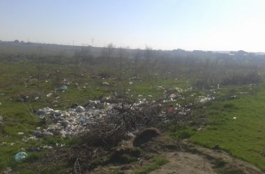 "Жить на свалке не хотелось бы», - жители Корабельного о множестве куч прошлогодней листвы и другого мусора по району | Корабелов.ИНФО image 14