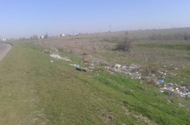 "Жить на свалке не хотелось бы», - жители Корабельного о множестве куч прошлогодней листвы и другого мусора по району | Корабелов.ИНФО image 16