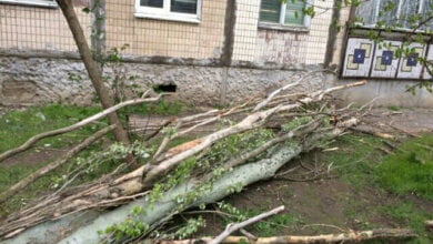 Рятувальники ліквідовують наслідки погіршення погодних умов у Миколаєві | Корабелов.ИНФО image 1