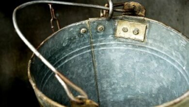 Мать утопила младенца в ведре с водой в школьном кабинете биологии - подробности шокирующего преступления | Корабелов.ИНФО