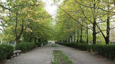 В Николаевском парке обнаружен труп 19-летнего студента | Корабелов.ИНФО